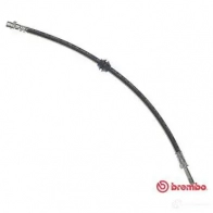 Тормозной шланг BREMBO 9H6 A4A 8432509613887 T 06 012 801905 - Изображение 5