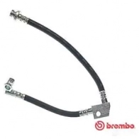 Тормозной шланг BREMBO T 56 039 8432509616185 Nissan Primera (P10) 1 Хэтчбек 2.0 D 75 л.с. 1991 – 1996 E6KT 24Y