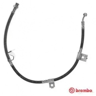 Тормозной шланг BREMBO 96 0YY T 30 080 8432509649183 Hyundai Sonata