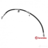 Тормозной шланг BREMBO VNRSX P 802491 8432509649381 T 30 100