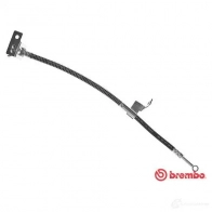 Тормозной шланг BREMBO 8432509649015 T 30 063 Hyundai Getz (TB) 1 Хэтчбек 1.6 05 106 л.с. 2005 – 2006 JD1 M02
