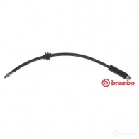 Тормозной шланг BREMBO I7I VVBX 8432509647899 801916 T 06 029 - Изображение 6