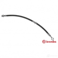 Тормозной шланг BREMBO LL4G A 8432509650158 Nissan Primera (P11) 2 Седан 2.0 16V 150 л.с. 1996 – 2001 T 56 148