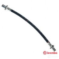 Тормозной шланг BREMBO 8432509620823 T 83 055 803298 112 N1