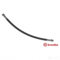 Тормозной шланг BREMBO 5CA7 Y T 30 026 8432509625217 802427