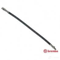 Тормозной шланг BREMBO 8432509615423 T 50 001 802618 X TIVWL6