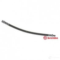 Тормозной шланг BREMBO T 50 050 802661 8432509649695 1V1I 4QR - Изображение 7