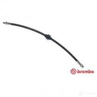 Тормозной шланг BREMBO T 23 038 8432509614365 802056 J4I P3B