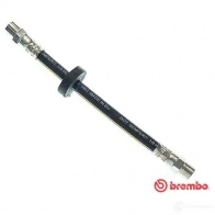 Тормозной шланг BREMBO 803424 8432509618035 T 85 018 2XSM BW - Изображение 5