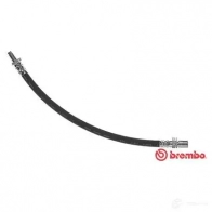 Тормозной шланг BREMBO T 83 058 8432509623763 G 2BOTT 803299