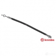 Тормозной шланг BREMBO N1MYX N8 8432509620434 802587 T 49 035