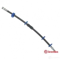 Тормозной шланг BREMBO 802029 T 23 010 WV3MS H 8432509614082