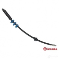 Тормозной шланг BREMBO T 23 018 8432509614167 DZM 5V 802037