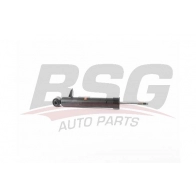 Амортизатор BSG BSG 15-300-040 Bmw X5 (E70) 2 Внедорожник 3.0 xDrive 35 i 306 л.с. 2010 – 2013 S5V01 AM