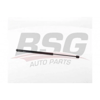 Амортизатор багажника BSG BSG 25-980-023 Peugeot Bipper OZJ3A J