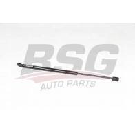 Амортизатор багажника BSG 75J CK BSG 40-980-061 1440452526