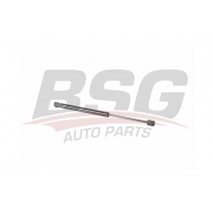 Амортизатор багажника BSG BSG 75-980-007 Renault Megane (BM, CM) 2 Хэтчбек 1.9 dCi 92 л.с. 2004 – 2006 SOOLTR H