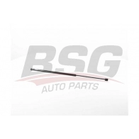 Амортизатор багажника BSG BSG 75-980-030 S6O MZM4 Mercedes Citan