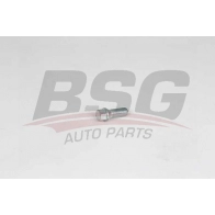Болт ступицы колеса BSG BSG 90-230-013 FY0A S1X Audi A3 (8VA, F) 3 Спортбек 1.4 Tsi 150 л.с. 2014 – наст. время