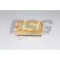 Воздушный фильтр BSG BSG 70-135-022 ESI SA Peugeot 307