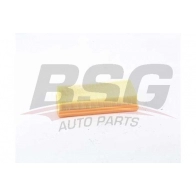 Воздушный фильтр BSG BSG 75-135-010 Renault Kangoo AW1 QPPY