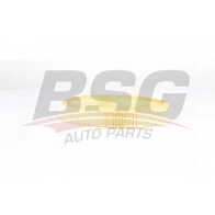 Воздушный фильтр BSG Renault Megane 1 (BA, JA, EA, DA, LA) 1995 – 2002 BSG 75-135-012 7L VUV2