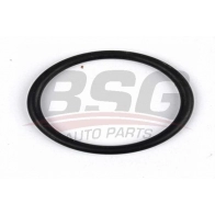 Прокладка впускного коллектора BSG 1440456504 BSG 30-230-042 BBP Z7