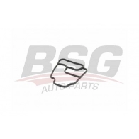 Прокладка корпуса маслянного фильтра BSG QTY TY BSG 15-116-008 1440456573