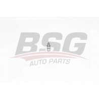Гидрокомпенсатор BSG BSG 15-122-019 UMSY EZ Peugeot 308 2 (T9, 4C) Хэтчбек 1.6 THP 150 150 л.с. 2014 – наст. время