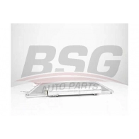 Радиатор кондиционера BSG FBC5 T 8719822120323 BSG 60-525-028 1424647216
