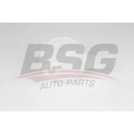 Расширительный бачок BSG 9LMHB W BSG 30-551-007 1440457299