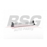 Интеркулер BSG XZ CW9 BSG 65-535-013 1440454077