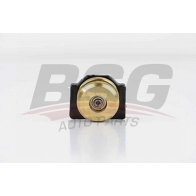Каретка раздвижной двери BSG BSG 30-975-012 G ILK4 8719822040065 89946663