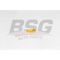 Клипсы салона BSG BSG 65-995-019 1440454184 E 2H1NV5