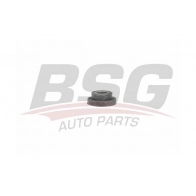 Кронштейн радиатора BSG Z9MV7K I 3353394 BSG 65-700-193 8719822129203