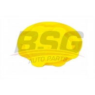 Крышка расширительного бачка BSG Ford Fiesta 4 (DX, JA, JB) Хэтчбек 1.8 DI 75 л.с. 2000 – 2002 BSG 30-551-001 R1P C670 8719822022795