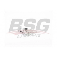 Масляный насос BSG BSG 90-101-002 Audi SWKS 9BC