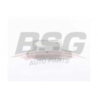 Масляный радиатор двигателя BSG BSG 15-506-037 DHB 2AN Land Rover Range Rover Sport 1 (L320) Внедорожник 2.7 D 4x4 190 л.с. 2005 – 2013