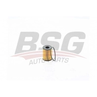 Масляный фильтр BSG Q9 NVBGW Peugeot RCZ 1 (PF2) Купе 1.6 16V 156 л.с. 2010 – 2015 BSG 15-140-014