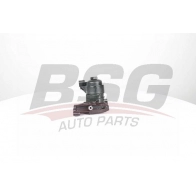 Масляный фильтр BSG 03U9 YV BSG 90-507-016 Volkswagen Golf 7 (BA5, BV5) Универсал 1.6 TDI 4motion 110 л.с. 2013 – 2024