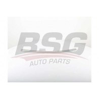 Накладка молдинг двери BSG BSG 70-925-010 Peugeot 307 I EQHY6