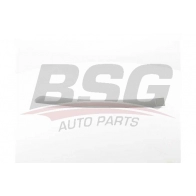 Накладка молдинг двери BSG Peugeot 307 BSG 70-925-012 B 7YYC