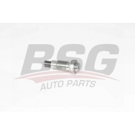 Натяжитель цепи ГРМ BSG Q1 QQ3 BSG 60-109-020 Mercedes A-Class (W168) 1 1997 – 2004