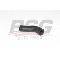 Патрубок интеркулера BSG BSG 25-720-043 1424301906 8719822130940 609VT Y