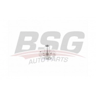Ступица колеса BSG DZ35R V 1440459044 BSG 25-600-006
