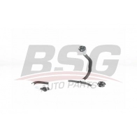 Топливная трубка BSG BSG 60-725-003 NGZ AK 1440459194