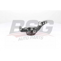 Поворотный кулак, цапфа BSG 8719822134023 BSG 70-330-009 FAIU O9O Peugeot Bipper