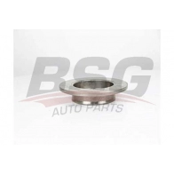 Тормозной диск BSG 8X3S NW BSG 30-210-042 1440459577
