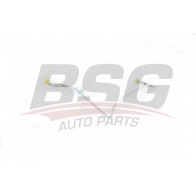 Трубка турбины BSG BSG 90-720-112 4Q D4VCP 1264044255 8719822108017