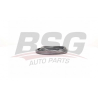 Уплотнитель двери BSG BSG 30-936-016 QRC4P B 1440460359